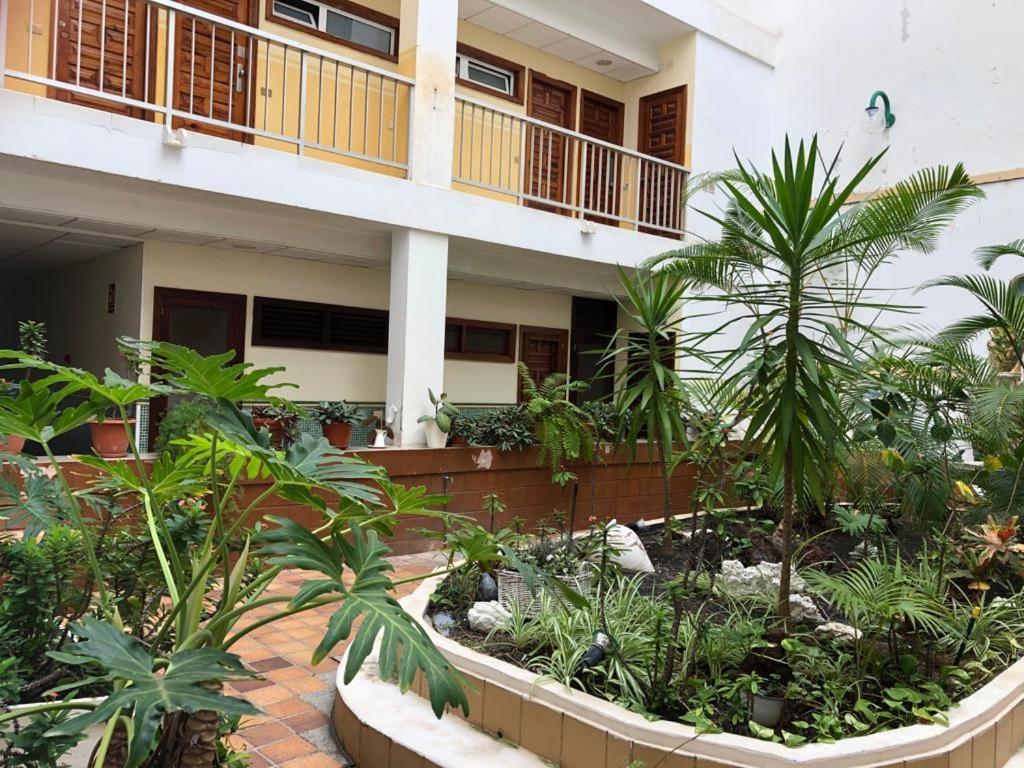 לאס פאלמס דה גראן קנאריה Green Beach Las Canteras מראה חיצוני תמונה